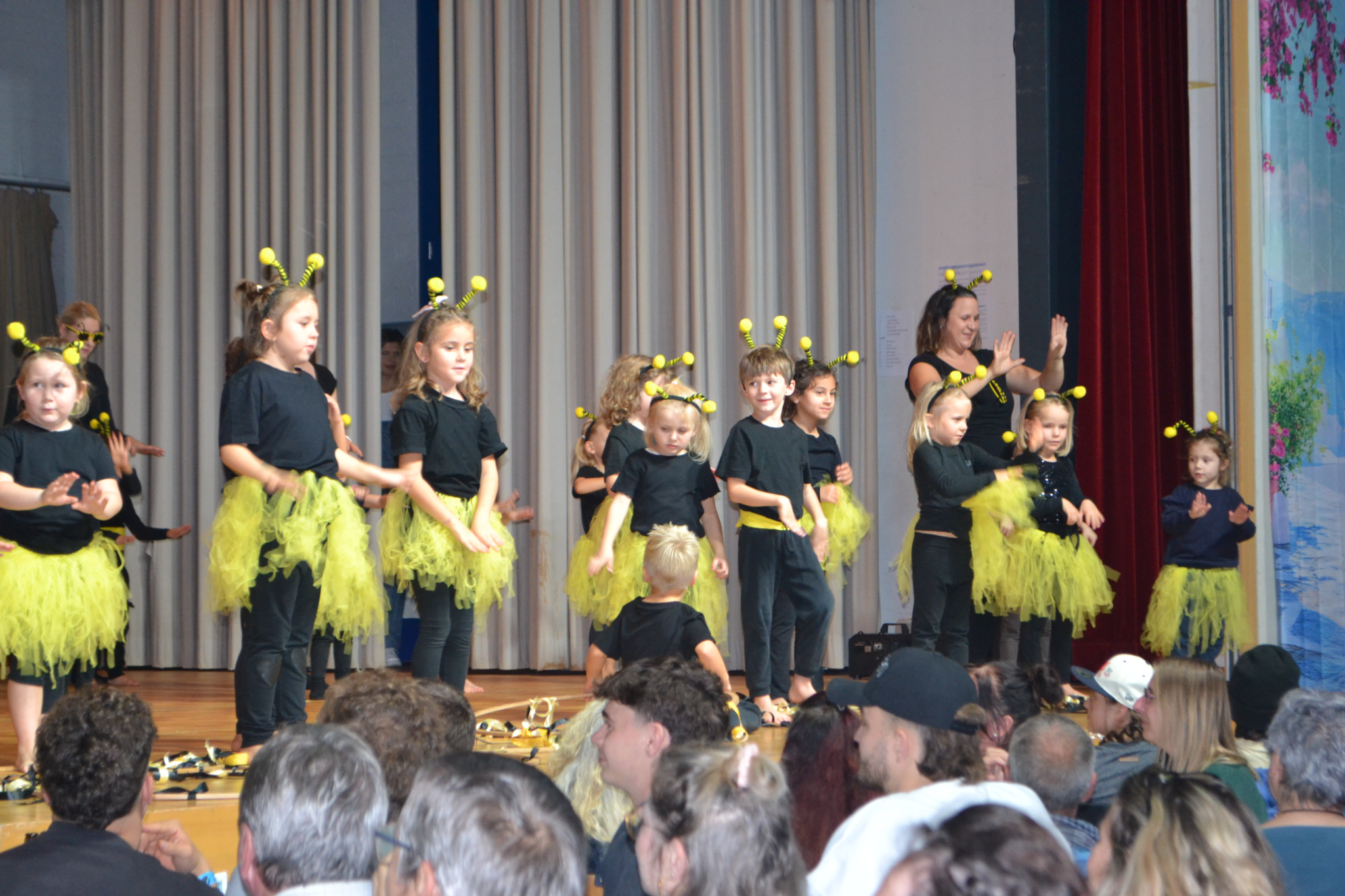 Bild2 2 (4)